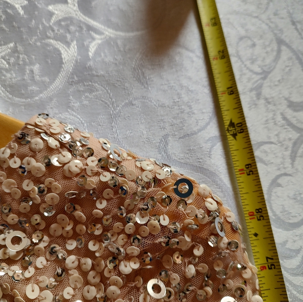 Adrianna Papell Formal Sequin Dress Sz 2 Champagne Beige Train - Picture 8 of 11